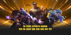 Cá Cược Esports New88 - Kèo Đa Dạng Qua Giải Đấu Hot Hit